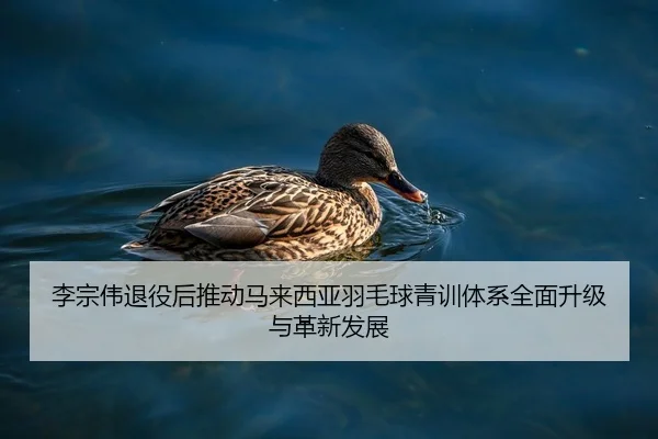 李宗伟退役后推动马来西亚羽毛球青训体系全面升级与革新发展